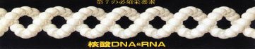 j_DNA&RNA@7̕K{h{f