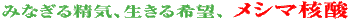 ݂Ȃ鐶CA]AV}j_