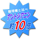 ͔|Ɣז10{̃AgVAjܗL