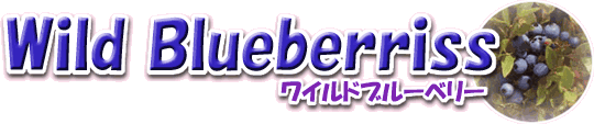 Wild Blueberriss(Chu[x[)